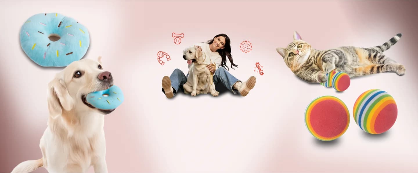 Descubre el mundo de tu gato